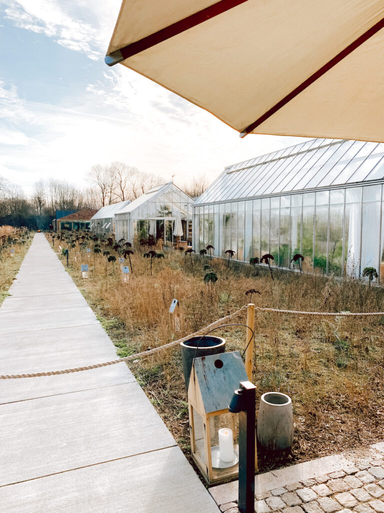 Noma Copenhagen - Treasure Travels
